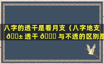 八字的透干是看月支（八字地支 🐱 透干 💐 与不透的区别是）